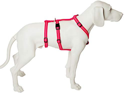 Feltmann Das Original - NoExit Hundegeschirr ® - Zweiter Bauchgurt abnehmbar, Sicherheitsgeschirr für Pflegehunde, Panikgeschirr, No Escape, Super Soft, pink, Bauchumfang 60-80 cm, 25 mm Bandbreite