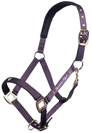 HKM Lavender Bay Halfter 3300 Dunkellila Pony
