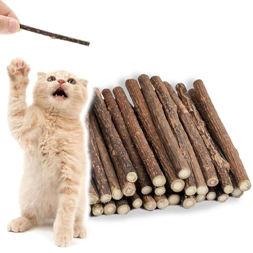 vcsjw Katzenminze Stick,30 Stück Matatabi Stick Katze,Natürlich Katzensticks,Katzengras Sticks,Katzen Sticks,Katzen Zahnpflege und Gegen Mundgeruch,Schleifen von Zähnen (Durchmesser 5-7mm)