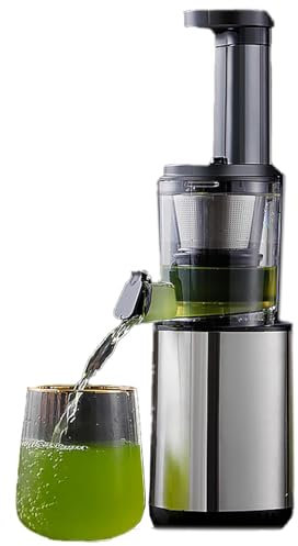 Cold Press Juicer Machine, Slow Masticating Juicer with Pomace Separation, 500ml Juice Cup, Whole Fruits & Vegetables, Easy to Clean - Portable Juice Extractor by 80W