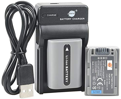 DSTE NP-FP50 - Batería de Ion de Litio y Cargador Micro USB Compatible con Sony DCR-DVD103, DCR-DVD105, DCR-DVD203, DCR-DVD205, DCR-DVD305, DCR-DVD92, DCR-HC20 (2 Unidades)