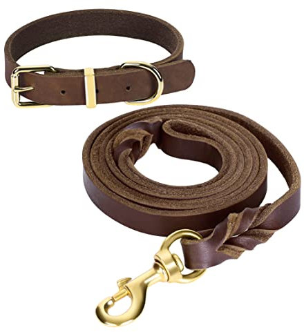 Guiding Star 1.8 m Leder-Hundeleine und Halsband-Set, weiches geflochtenes Leder, 1.8 m mit verstellbarem Hundehalsband, Set für kleine, mittelgroße und große Hunde