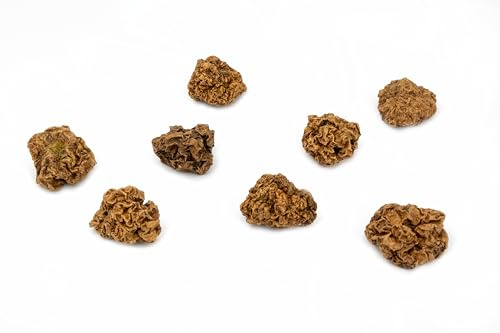 Fellefant Matatabi Früchte - Gallfrucht - 8er Set - Natürliches Katzenspielzeug - Die Alternative zu Katzenminze und Baldrian