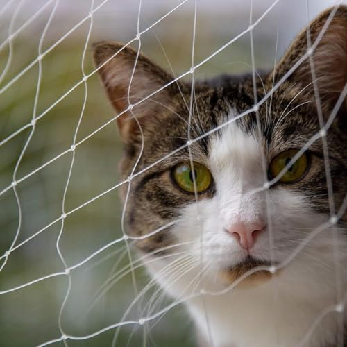Katzennetz Für Balkon & Fenster | Extragroßes 10x3m Katzenschutz-Netz Ohne Bohren | Balkonschutz Befestigungsseil | Balkonnetz Besonders Transparent & Sicher(10x3M)