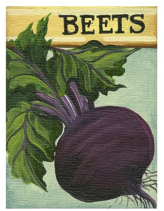 Trademark Fine Art Canvas Wall Art - Debbi Wetzel 'Seed Packets 18 - Beets' Wall Art for Living Room, Bedroom, or Office Décor 35 x 47 Inches