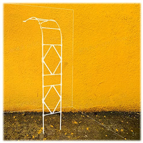Arche À Rosiers Murale Demi-latérale Arche De Jardin en Métal Tonnelle Plante Grimpante Support pour Plantes Grimpantes Résistant Aux Intempéries(Blanc,W 180cm X H 240cm)