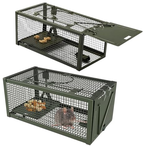 TUXUNQING Lebendfalle Mausefalle,Premium Profi Lebendfalle XL: Humane Maus- & Rattenfalle aus Kaltgezogenem Stahldraht – Für Kleine Nagetiere (Mäuse, Wühlmäuse, Feldmäuse) (Green)