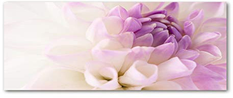 Tulup Leinwandbild - Wandkunst - Drucke auf Leinwand - Leinwanddruck -125x50 cm - Blumen & Pflanzen - Lila - Weiße Dahlie