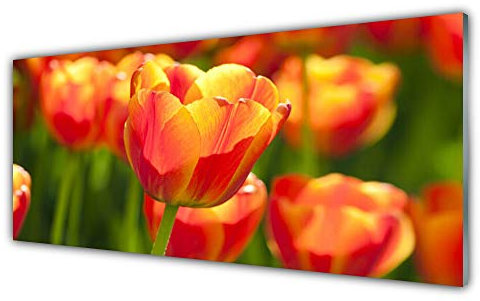 Tulup Acrylic Glass Print 125x50cm Wall Art - Wall Picture Plastic Acrylic Glass - Tulips Floral