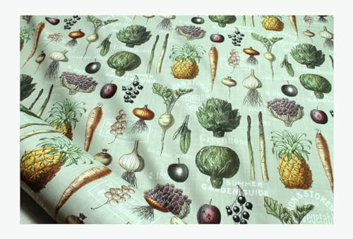 Stoff am Stück Stoff Baumwolle Panama türkis Gemüse 160 cm breit Artischocke Rettich Rübe Spargel Zwiebel Baumwollstoff weich