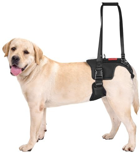 OneTigris Hundegeschirr, Victus Unterstützung Geschirr, Hebegeschirr für Mittelgroße Große Hunde Hundehebegeschirr Hundestützgeschirr für die Hinterbeine - Schwarz, M