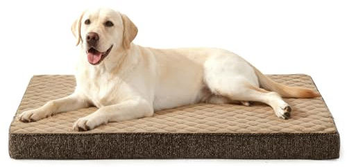 JOEJOY Ortopdiskt hundbädd för stora hundar, XL hundkudde Tvättbar fluffig hundmatta, hundmadrass för stora hundar, halksäker undersida, 104x69x9 cm