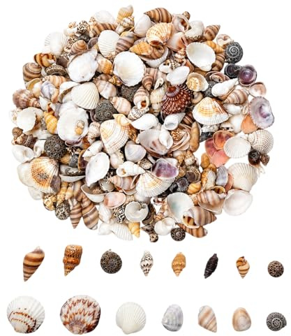 glonest 400 PCS Natural Mini Sea Shells Mix for Crafts, DIY Beach Wedding Decor, Resin Art, Fish Tank, Vase Fillers, Home Ocean Theme Party Decorations, Small Cowrie Shells Assorted Sizes