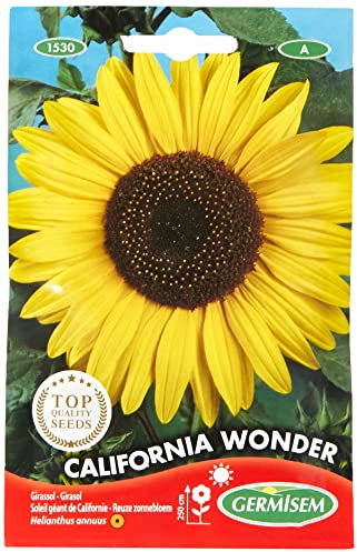 Germisem California Wonder Semi di Girasole 4 g