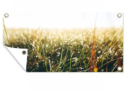 MuchoWow Poster exterieur Champ d'herbe - herbe de la pampa Decoration murale 160x80 cm Résistant aux intempéries/soleil