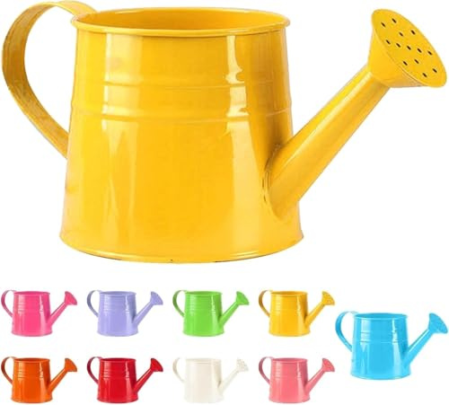 Small Watering Can for Indoor Plants, Mini Houseplant Watering Can with Handle, for Indoor/Outdoor Garden Home Plants(1pc)