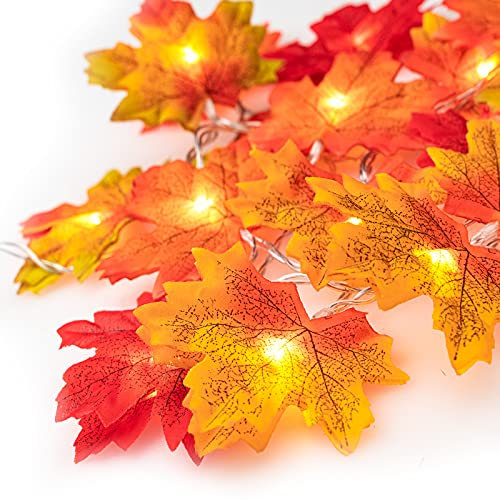 Ventvinal Herbstdekoration Ahornblatt Lichterkette, 2m 20 LED Lichter Thanksgiving Halloween Dekoration Party Innen und Außen Weihnachtslichterkette
