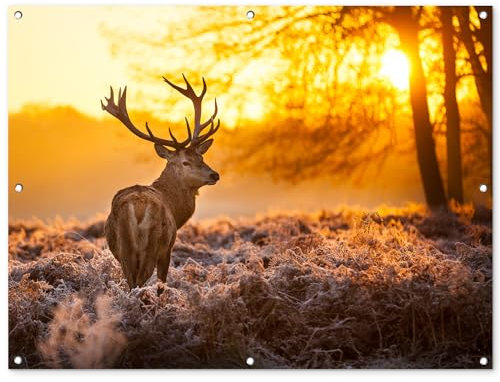MuchoWow Outdoor-Poster Poster Wanddeko draußen Deko Garten Gartenposter 120x90 cm Hirsche - Tiere - Sonnenuntergang - Winter - Heidekraut - Natur