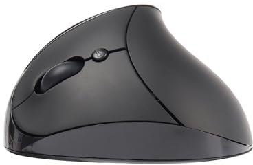 Left-Handed Mouse, Ergonomic Vertical Rechargeable Wireless Mouse, 6 Buttons Silent Optical and Portable Wireless Office Mice with USB Receiver for Computer, Laptop (Black)