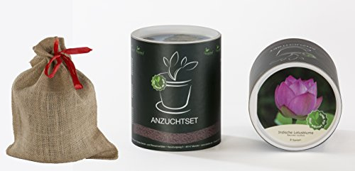 Seedeo Anzucht-Geschenkset Indische Lotusblume (Nelumbo nucifera)