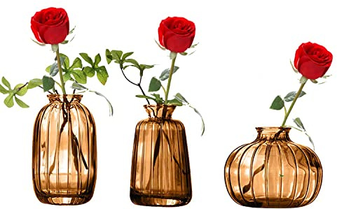 Vaso da fiori in vetro marrone, mini vaso decorativo di design trasparente, decorazione per centrotavola, matrimonio, campo, battesimo, compleanno, regalo per festa della mamma