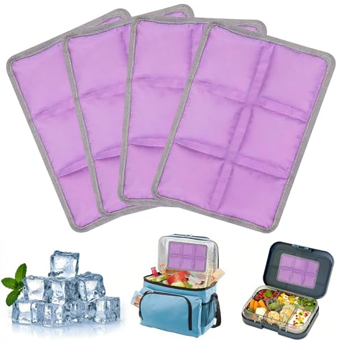 LQTSLFM Acumuladores de Frio, 4 Piezas Placas Hielo Nevera Portatil, Bolsas de Hielo Reutilizables, Placas Hielos Gel Nevera, Acumulador de Frío para Loncheras, para Viajes Escuela Picnic Camping