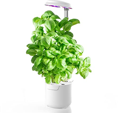 amzWOW Dafne Smart Garden mini serra, idroponica kit completo per coltivazione indoor, vaso smart autoirrigante con luce led per crescita piante, altezza regolabile e timer automatico (Bianco)