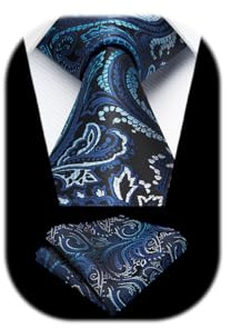 HISDERN Herren Paisley Krawatte Formale LäSsig Floral Krawatten Einstecktuch Hochzeit Partei Beerdigung Krawatte Sets FüR Herren