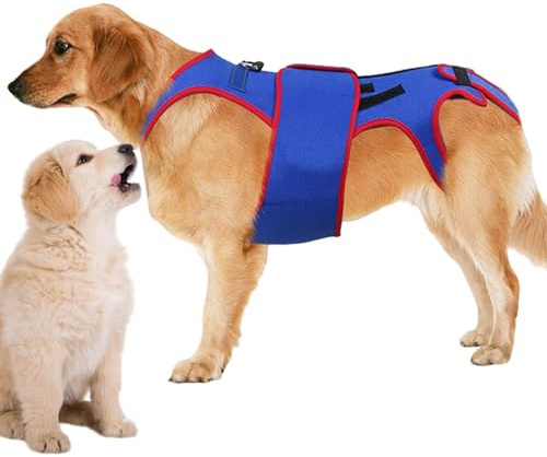 Rückenbandage für Hunde, zur Unterstützung und Rehabilitation von Haustieren, weiche Unterstützung für Beine und Hüften
