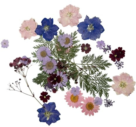 Lot de 35 fleurs naturelles séchées pressées roses violettes pour décoration de gâteaux, travaux manuels et fabrication de bijoux
