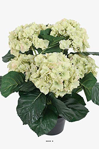 Artificielles.com - Hortensie im Topf, beschwert, Höhe 40 cm, 5 wunderschöne Köpfe, Cremegrün, Farbe: Cremegrün