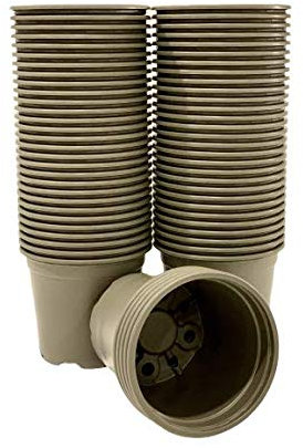 spiceboxx 100x Pflanztöpfe Blumentöpfe Pflanzcontainer Anzuchttöpfe Saattöpfe D8cm grau grün 0,25 Liter