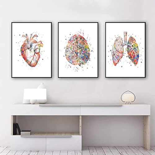 KXHHYB Set di 3 poster anatomici da parete con cuore, cervello, anatomia umana, ospedale, clinica, arte da parete, medica, senza cornice (A, 40x60cm*3)