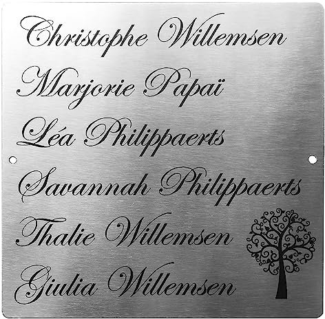 GUIZZO Creart - Numero Civico Esterno in Acciaio Inox, Targa Personalizzata con Numeri Civici Esterni, Via e/o Famiglia e Nomi Made in Italy, Targhetta Porta Ingresso Esterno, 12x12H cm