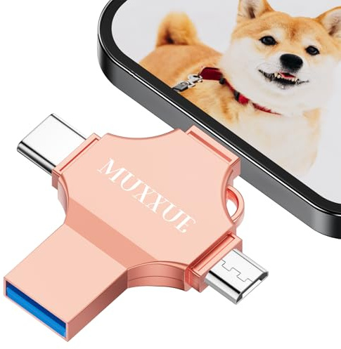 Ohne EIN App Herunterzuladen-MUXXUE 256GB USB Stick