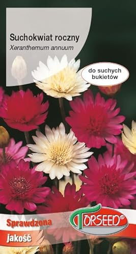 Verdica Semi perduranti di margherite Xeranthemum annuum, perfetti per composizioni a secco, prosperano in pieno sole, facili da pulire, impollinare, qualità testata (1 grammo)