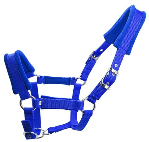 ULIJTH Gancho de metal duradero para caballos para ciclismo y entrenamiento seguros con herraje de brida estable a prueba de óxido, hardware profesional de ciclismo de caballos