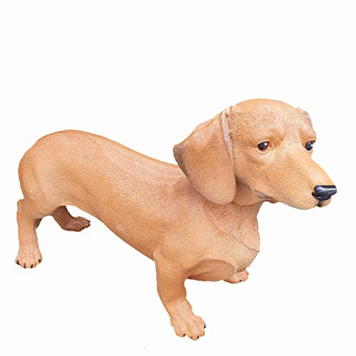 Aspinaworld Dackel Gartenfigur 30 cm stehend – Hundefigur aus Kunstharz für den Außenbereich