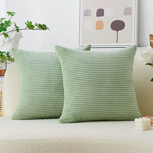 Home Brilliant 65 x 65 kuddöverdrag supermjuk salvia grön kuddöverdrag för soffkuddar fyrkantiga prydnadskuddar sommardekorationer, 65 cm, 2 st, salviagrön