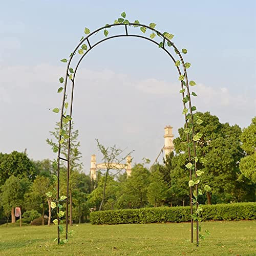 Arche Jardin Aluminium Largeur, Arche À Rosiers Métal, Filet À Plantes Grimpantes, Filet de Treillis, pour Récolte de Concombres, Légume, Vignes, Plantes Grimpantes,120x220x40CM