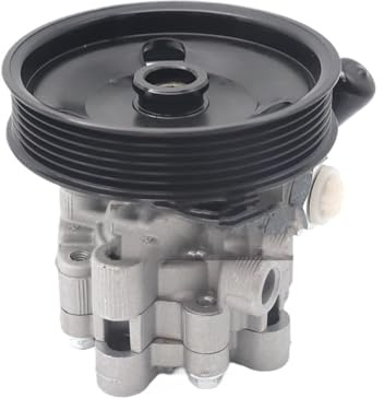 Pompa servo idraulica Per Chrysler 300 Per Dodge Per Challenger Magnum 04892093AA 4782523AC 4782523AD 4782523AE 04782524AF 553-01134 Pompa Servosterzo