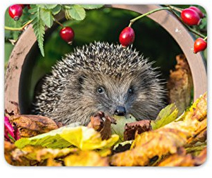 Adorable Hedgehog Mouse Mat Pad - Garden Animal Mum Auntie Fun Computer #13045