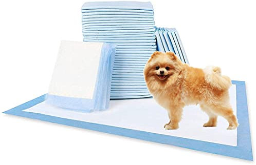Joycoikat Wegwerf Pet Pee Pads für Hunde Katzen Welpen Trainingspad Wasserdicht Saugfähig Schnell Trocknend Auslaufsicher Haustier Pinkel Pads Klein Große Größe 60x60cm Packung mit 40