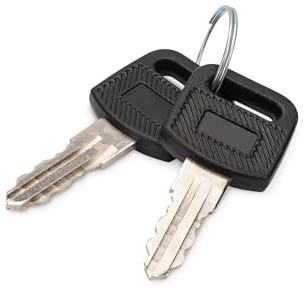 DIGITUS Clé de Remplacement pour Coffrets muraux 10, 19 Soho & série Dynamic Base - Deux pièces - Noir/argenté