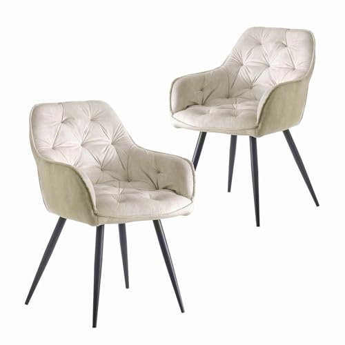 B&D home Esszimmerstuhl Dieter 2er Set, Küchenstuhl Schalenstuhl Stuhl für Küche, Esszimmer, Esstisch, Wohnzimmer, Arbeitszimmer, Büro, Retro modern Design, Samtstoff Grau, 11137-GRAU-2