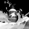 Nothosaur Water-Based Personal Lubricant, (300ml (2er Pack))