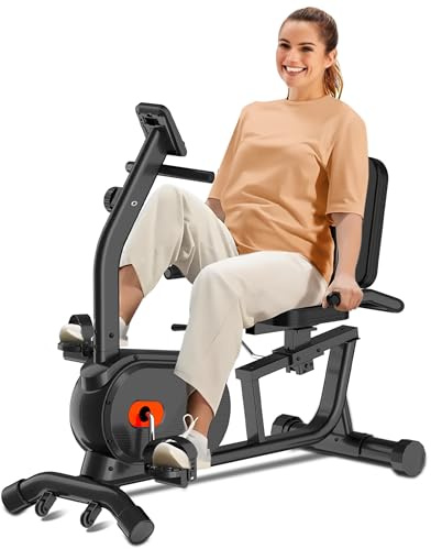ECHANFIT Recumbent Exercise Bike for Home - 380LBS Weight Capacity, Exercise Bike with Smart Workout APP, 16-Level Magnetic Resistance, LCD Display, Comfortable Seat