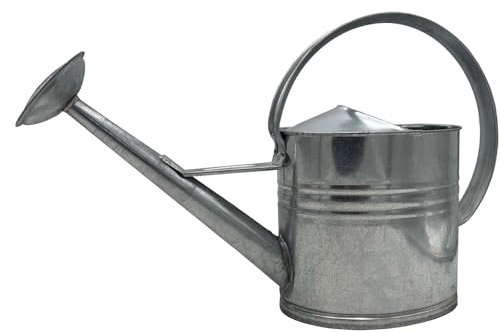 Zinkgießkanne 10 Liter Metall Gießkanne Feuerverzinkt Garten Pflanzkanne | BURI Gießbrause aus rostbeständigem Stahl für Pflanzenbewässerung im Innen- und Außenbereich mit klassischem Design