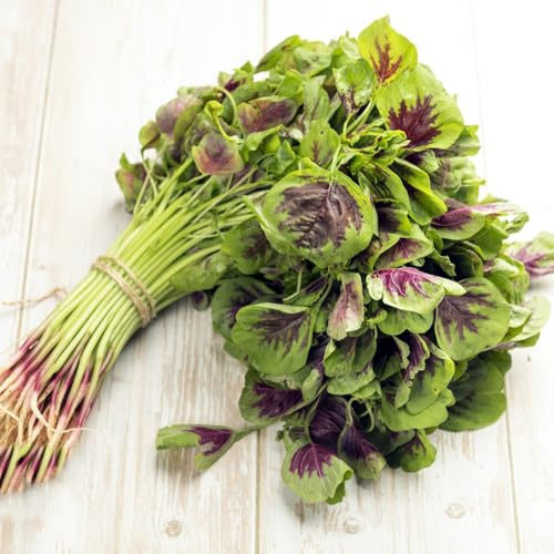 semi di amaranto, antichi, sementi biologiche, varietà antiche, biologici di letti 550pcs