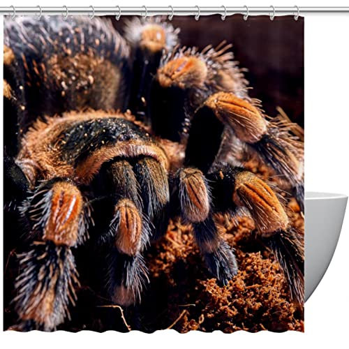 Tenda da doccia personalizzata Ragno Tarantola al ginocchio rosso messicano